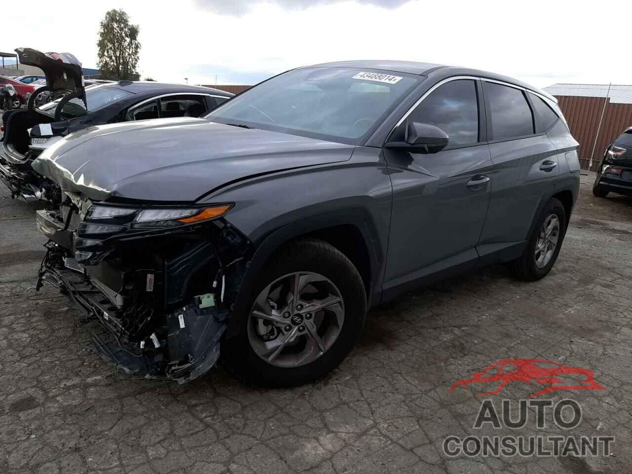 HYUNDAI TUCSON 2024 - 5NMJA3DEXRH295825