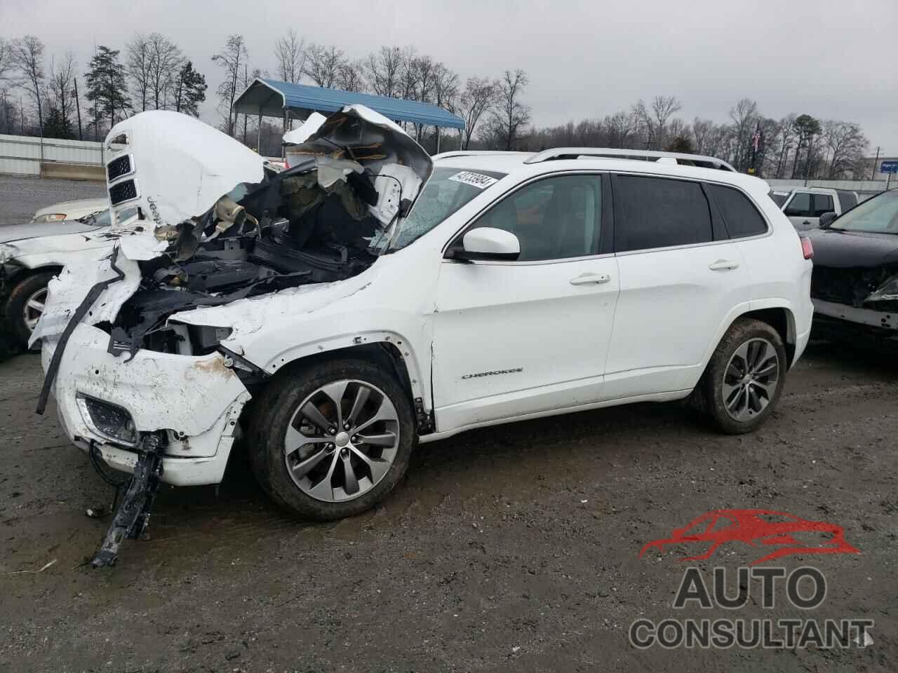 JEEP CHEROKEE 2019 - 1C4PJMJX1KD406735