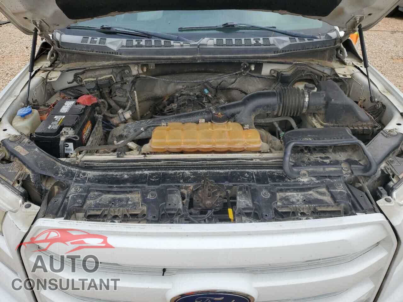 FORD F-150 2015 - 1FTEW1EG6FFB76265