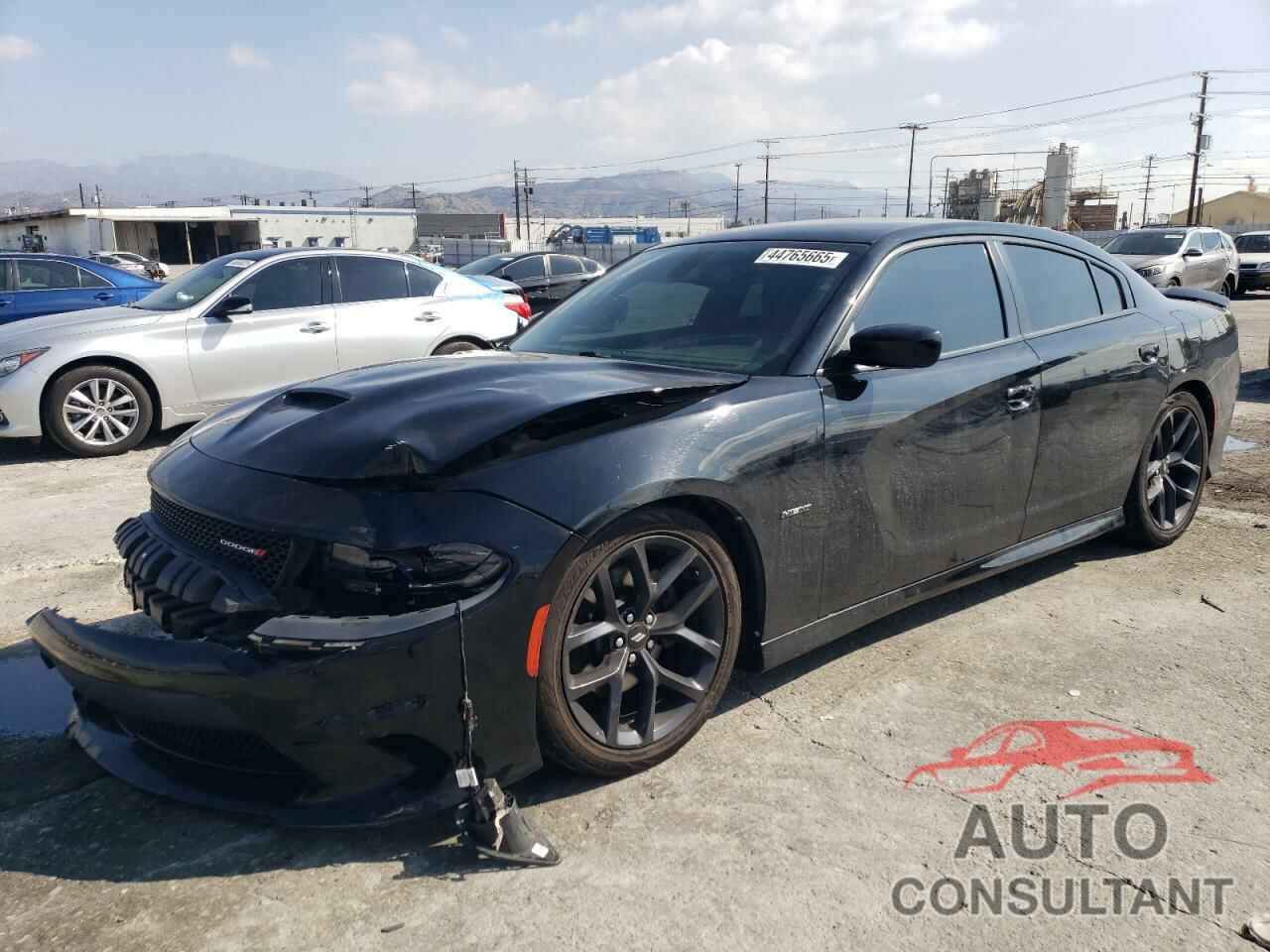 DODGE CHARGER 2019 - 2C3CDXCT6KH736203