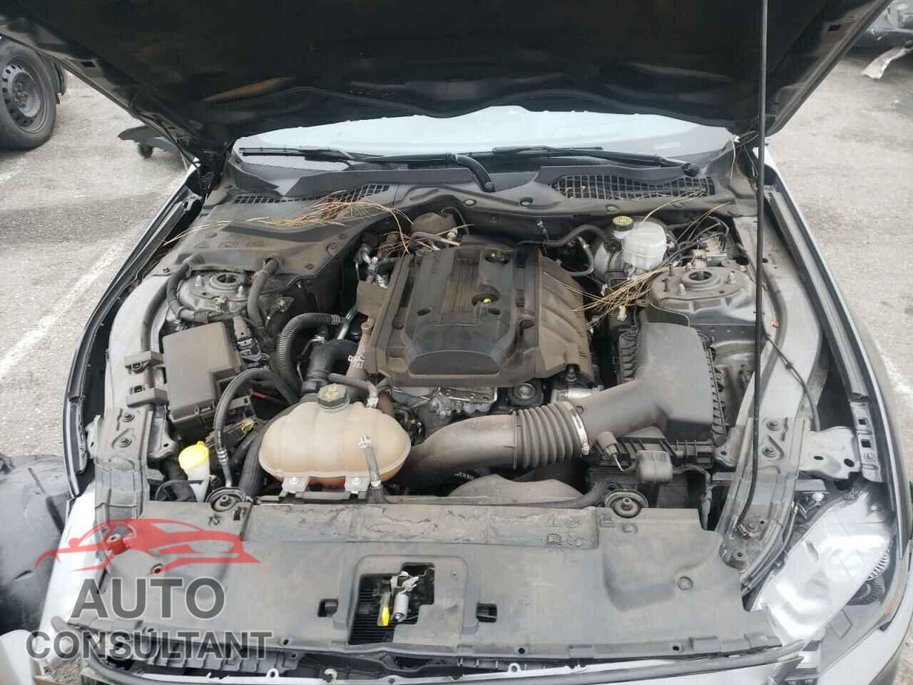 FORD MUSTANG 2019 - 1FA6P8TH9K5143675