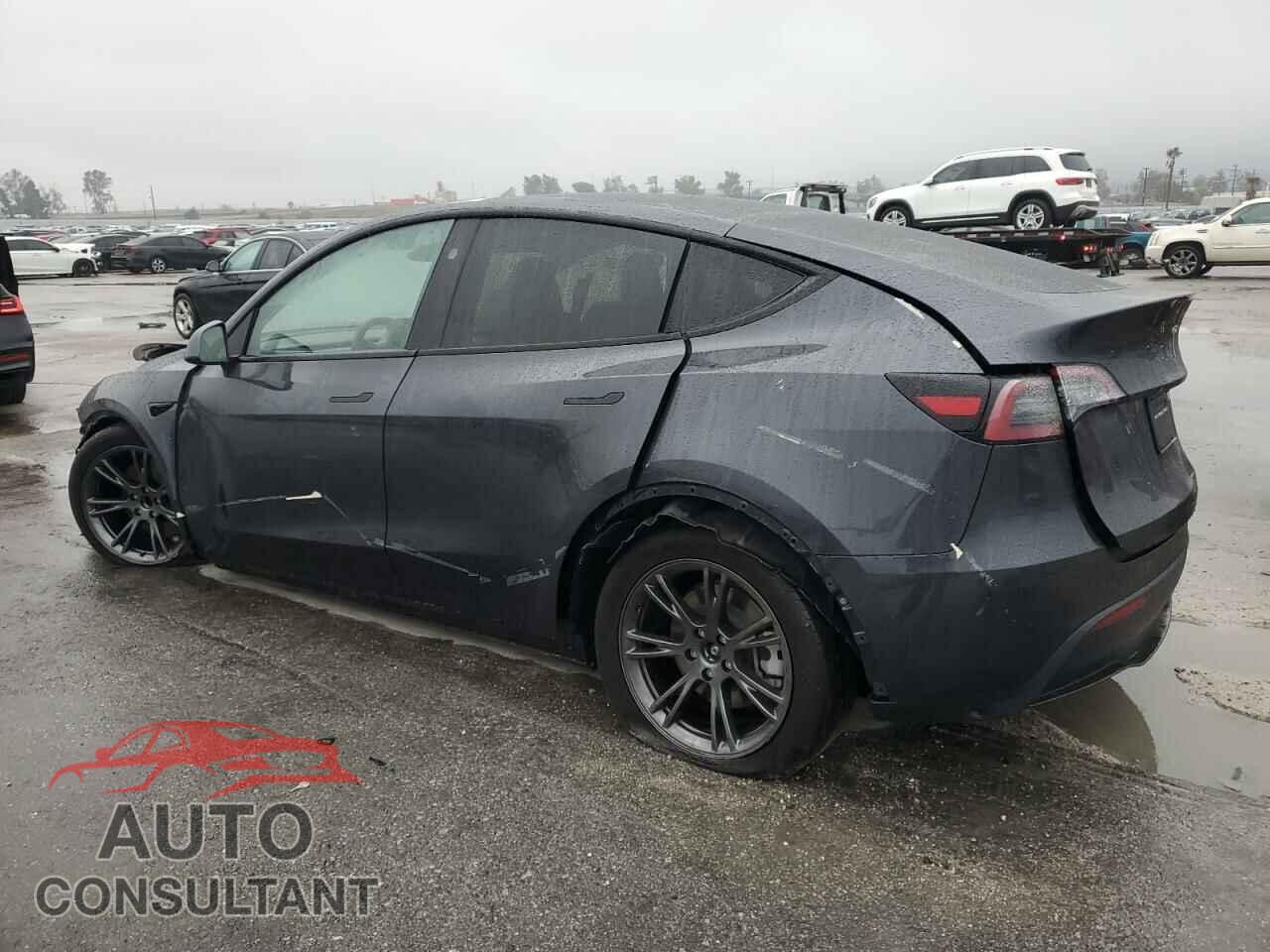 TESLA MODEL Y 2024 - 7SAYGDED1RF098054