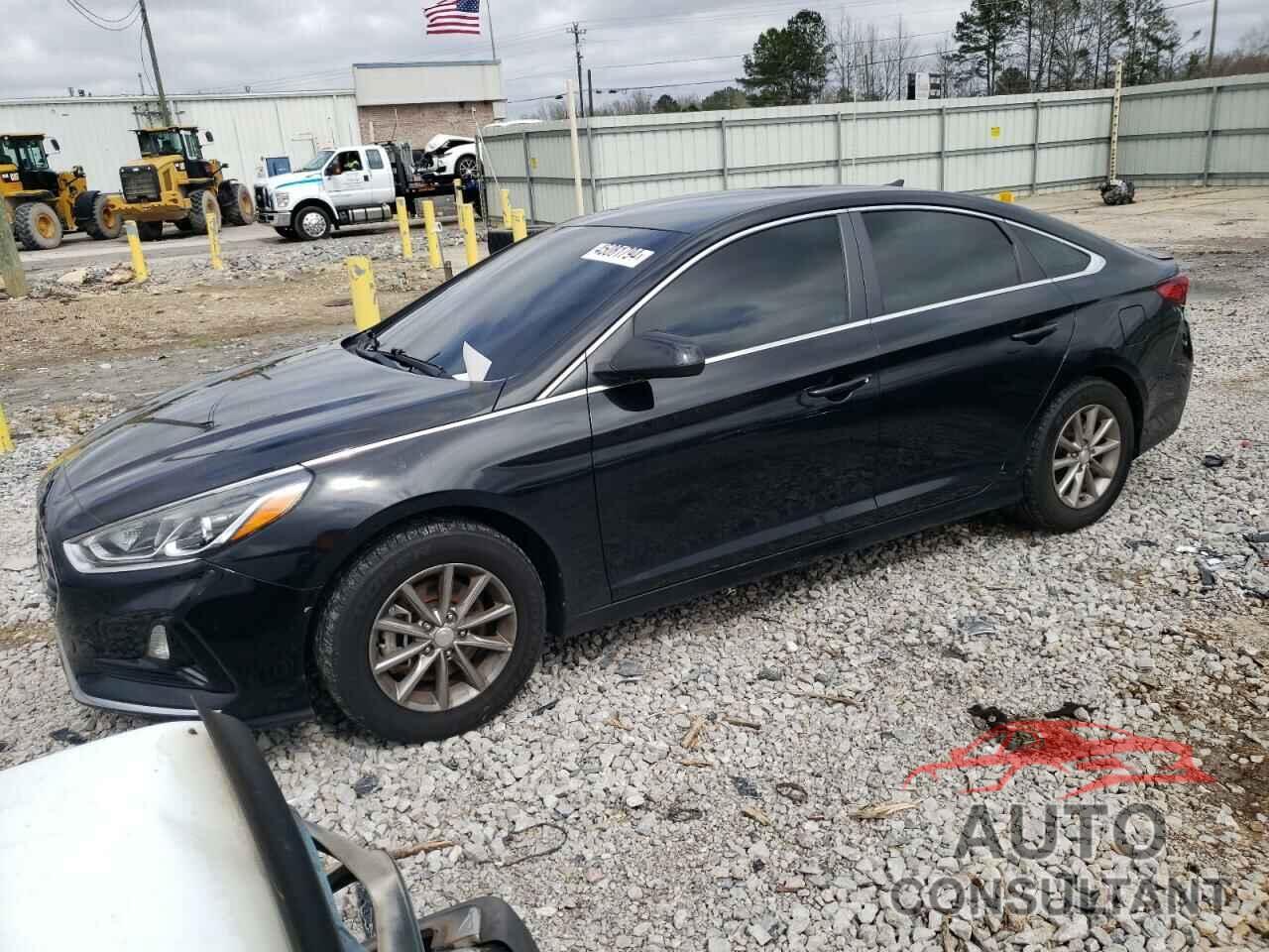 HYUNDAI SONATA 2019 - 5NPE24AF7KH748406