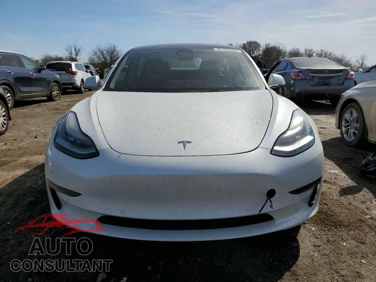 TESLA MODEL 3 2019 - 5YJ3E1EBXKF493480