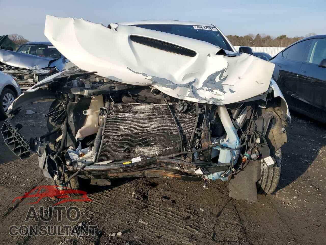 DODGE DURANGO 2019 - 1C4SDJCT7KC836804