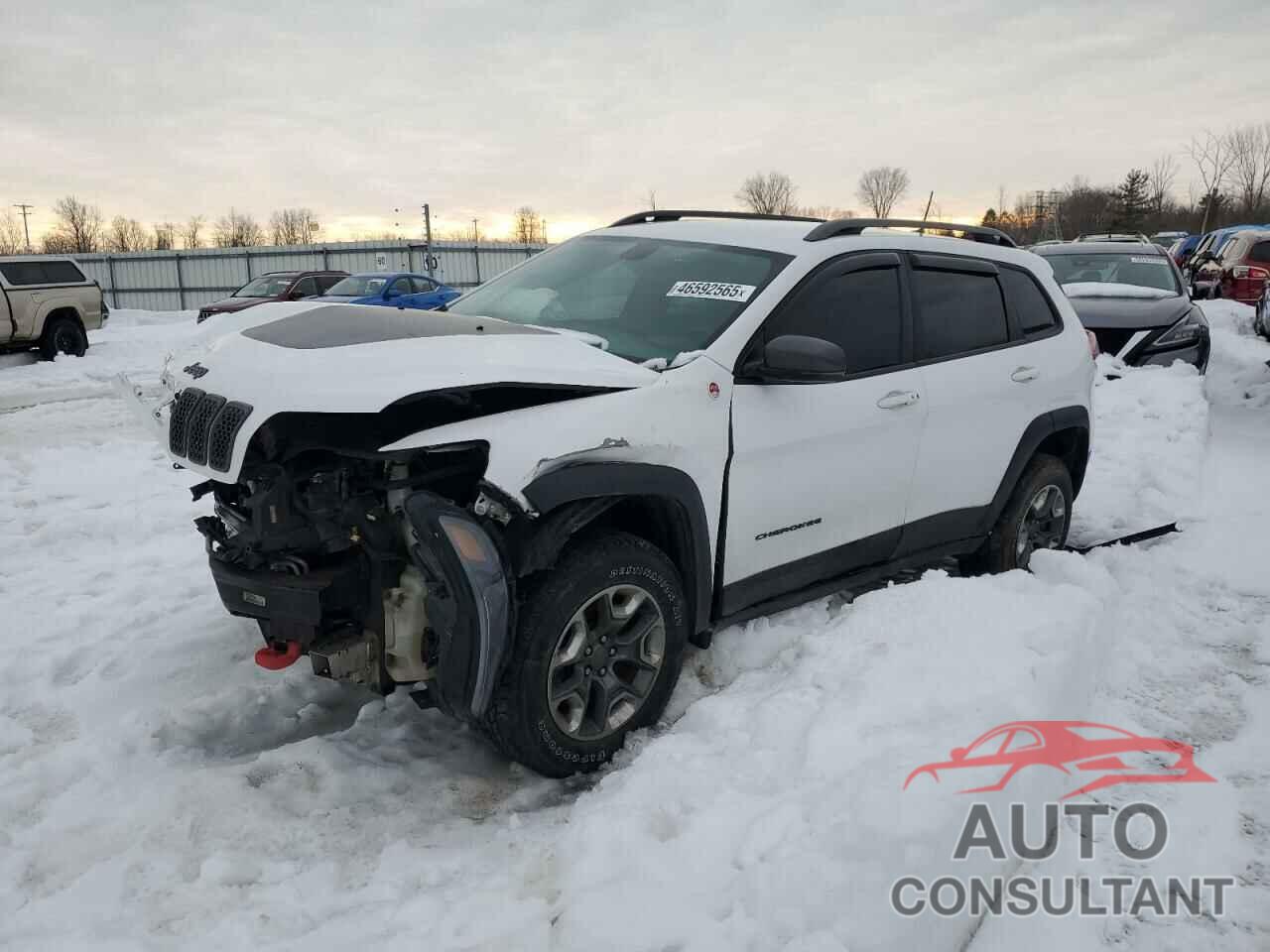 JEEP CHEROKEE 2019 - 1C4PJMBX3KD196654