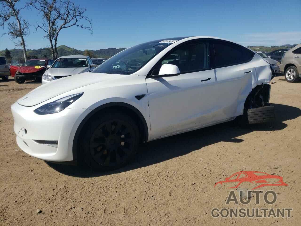 TESLA MODEL Y 2023 - 7SAYGDEEXPF675010