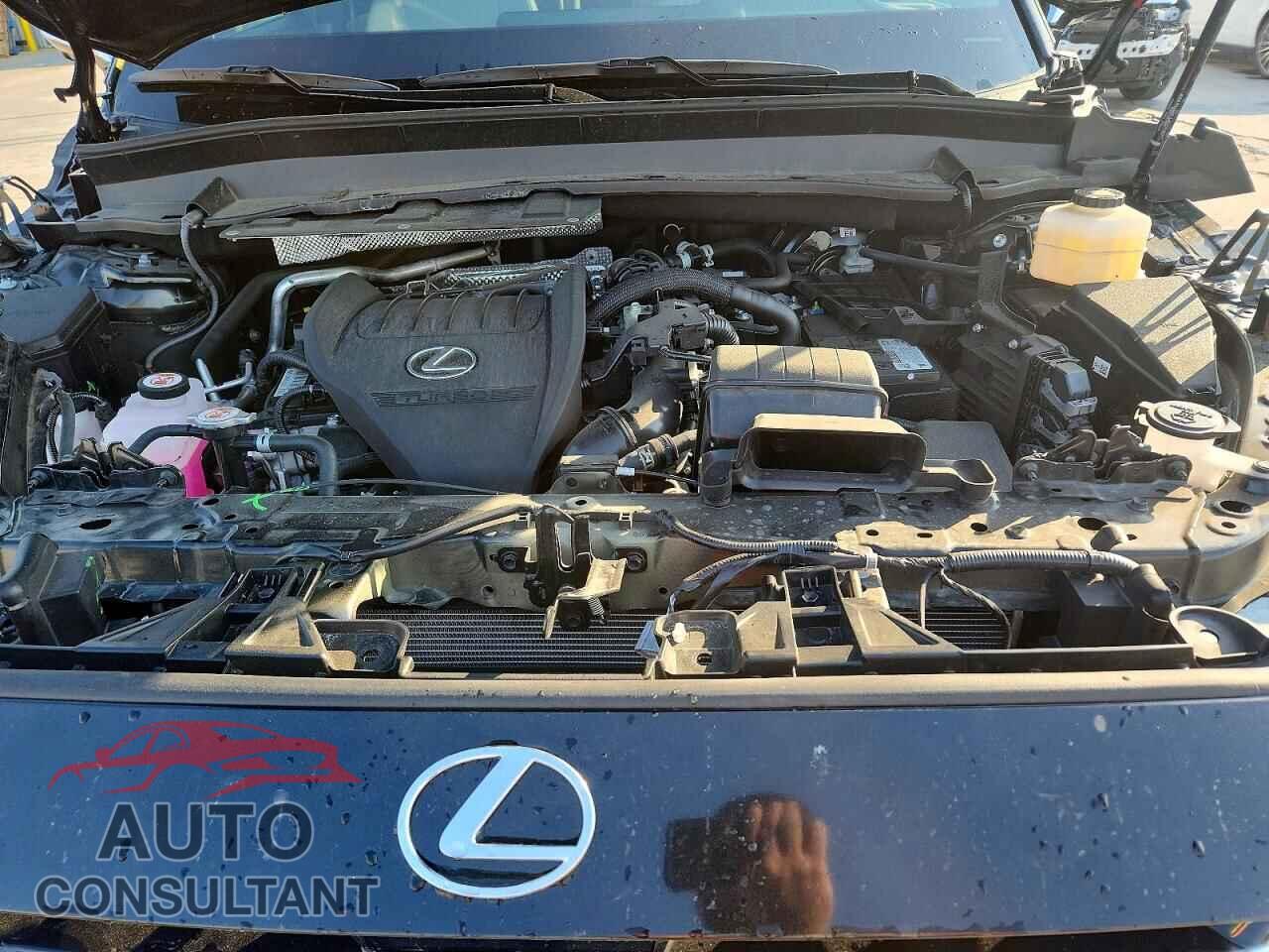 LEXUS UNKNOWN 2025 - 5TDAAAB69SS022071