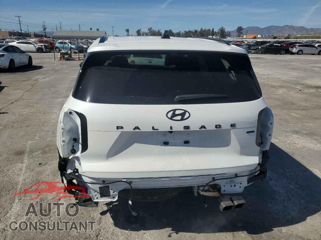 HYUNDAI PALISADE 2024 - KM8R7DGEXRU780604