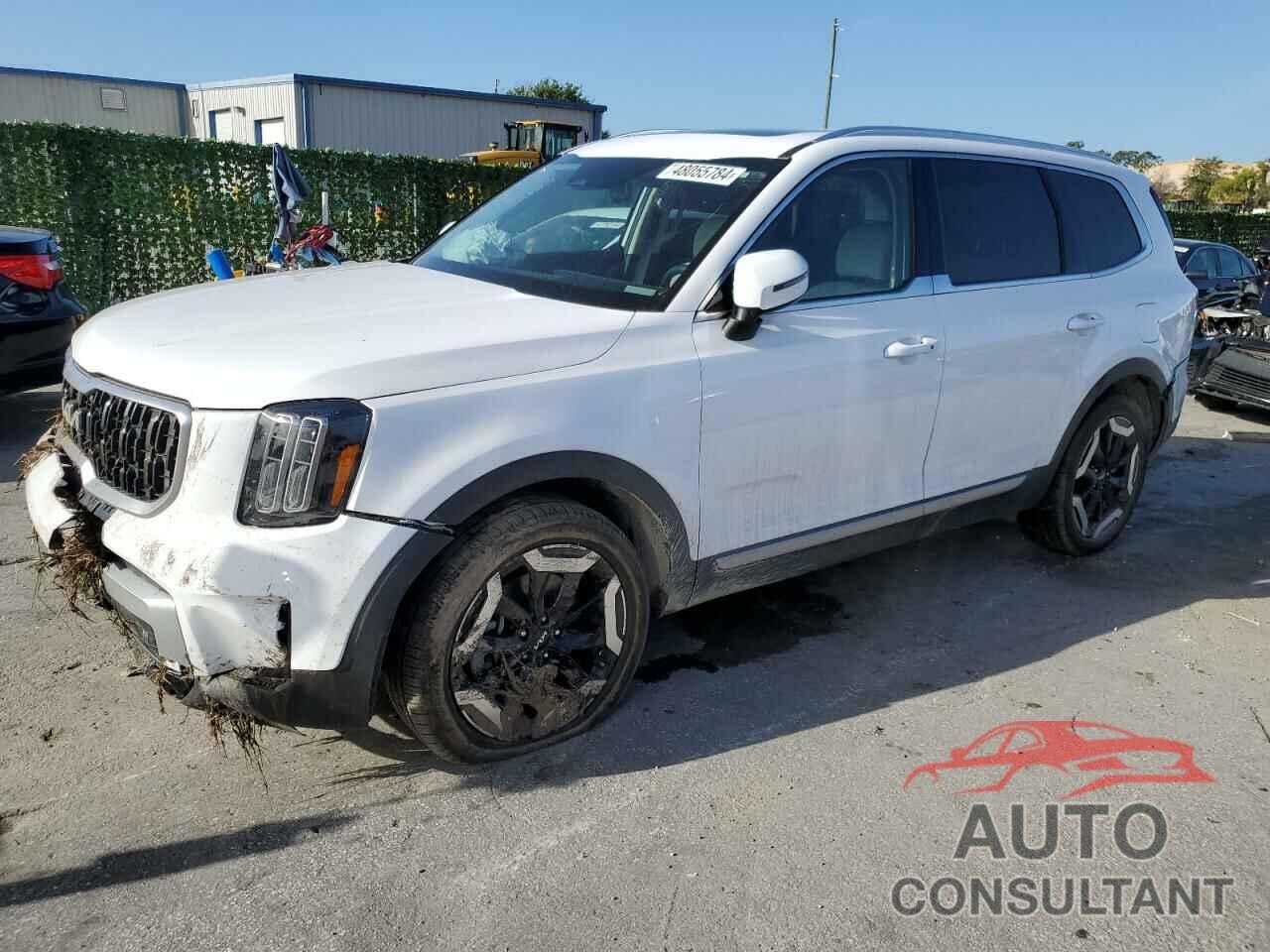 KIA TELLURIDE 2024 - 5XYP34GC0RG416263