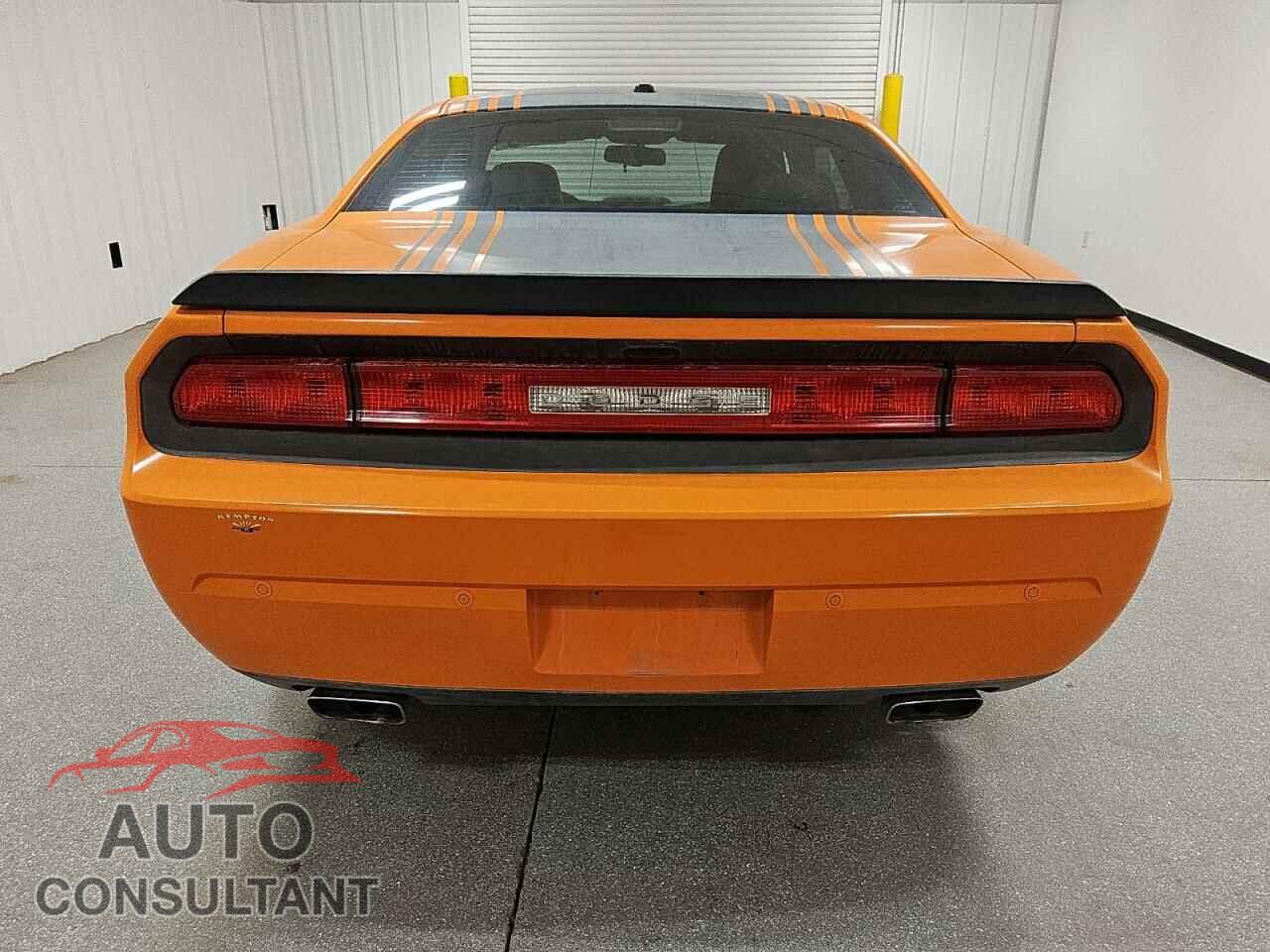 DODGE CHALLENGER 2014 - 2C3CDYBT2EH231691