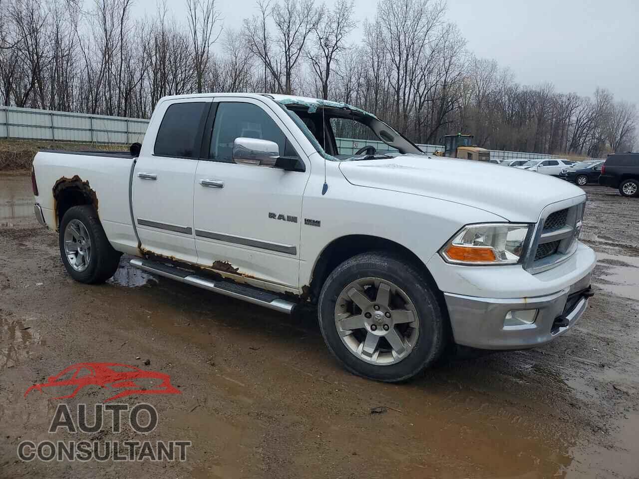DODGE RAM 1500 2010 - 1D7RV1GT4AS254949
