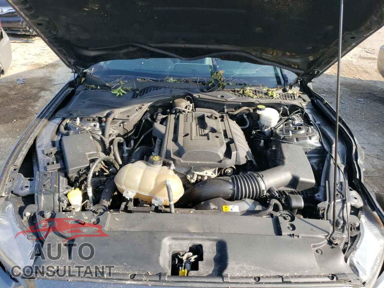 FORD MUSTANG 2016 - 1FA6P8TH4G5224722