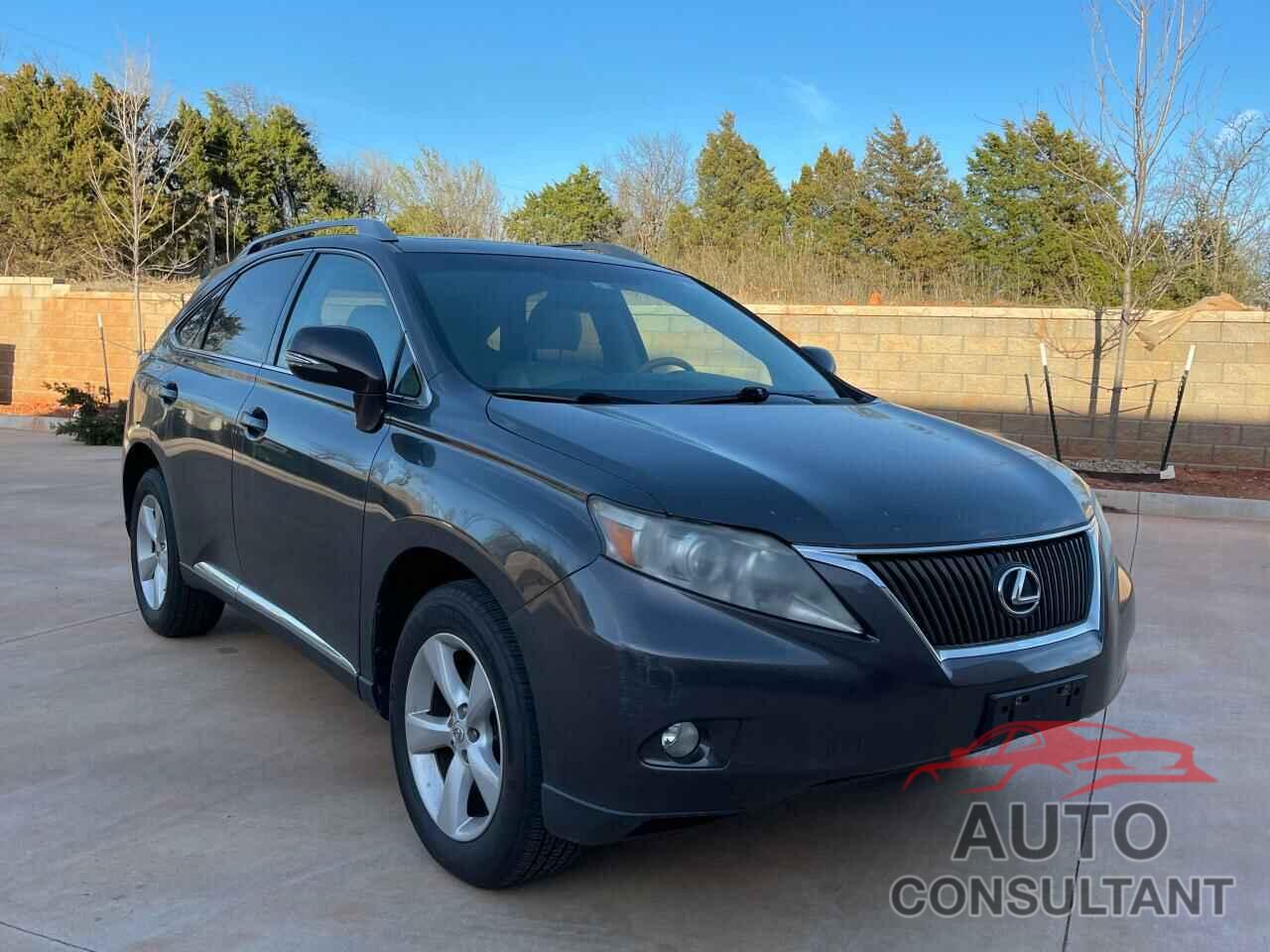 LEXUS RX350 2010 - 2T2BK1BA5AC019371