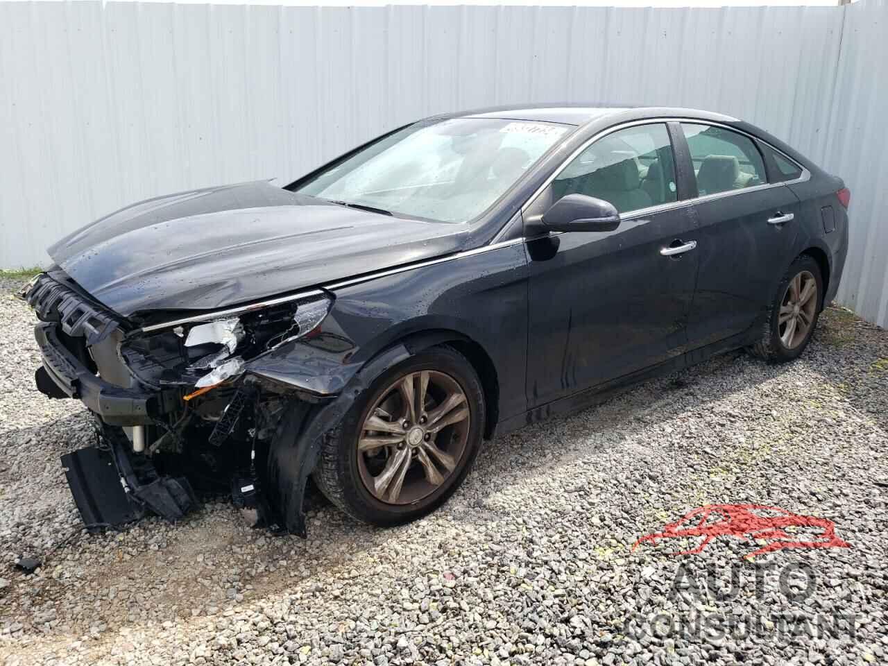 HYUNDAI SONATA 2019 - 5NPE34AF6KH779613
