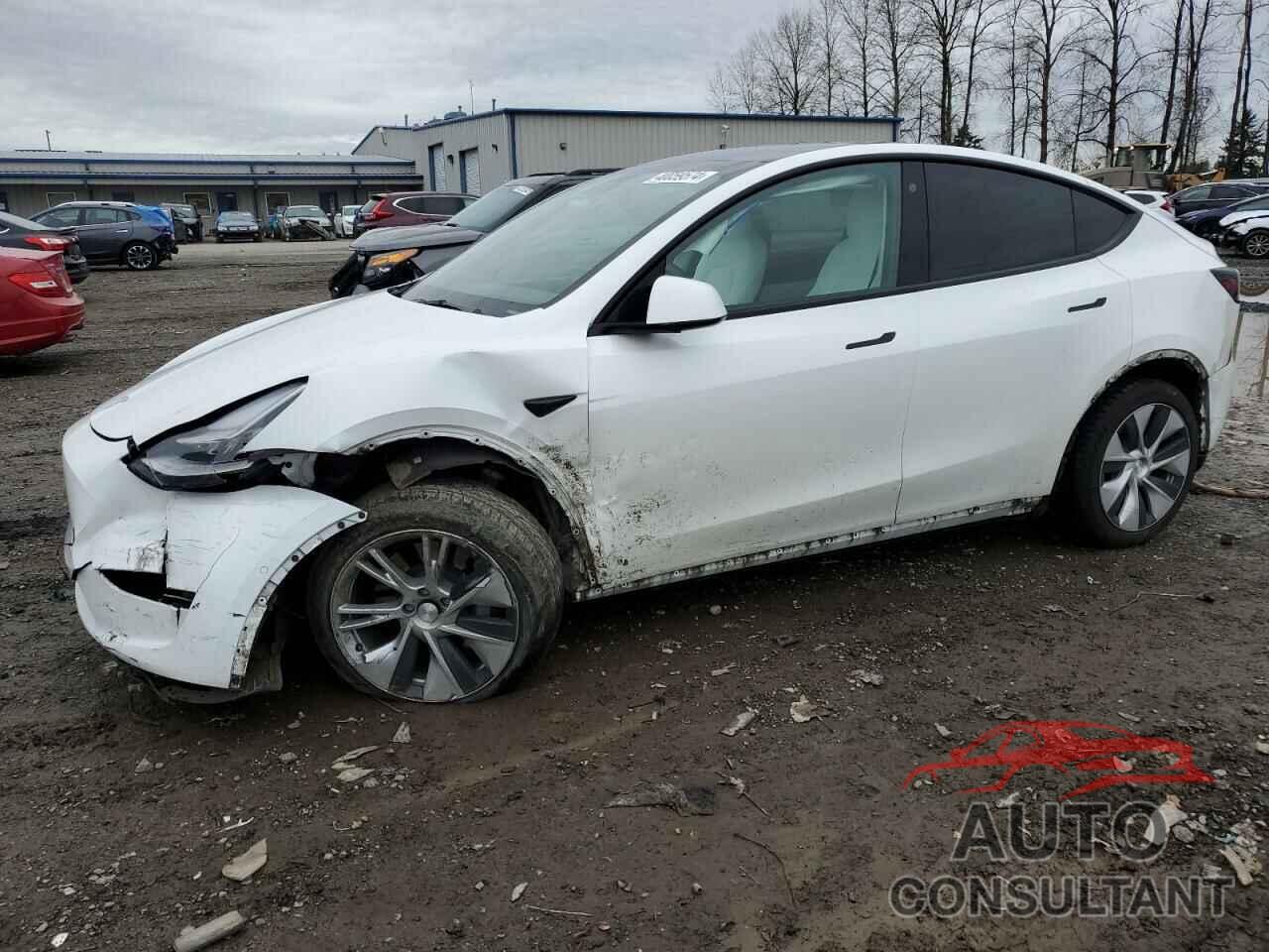 TESLA MODEL Y 2021 - 5YJYGDEE4MF152512