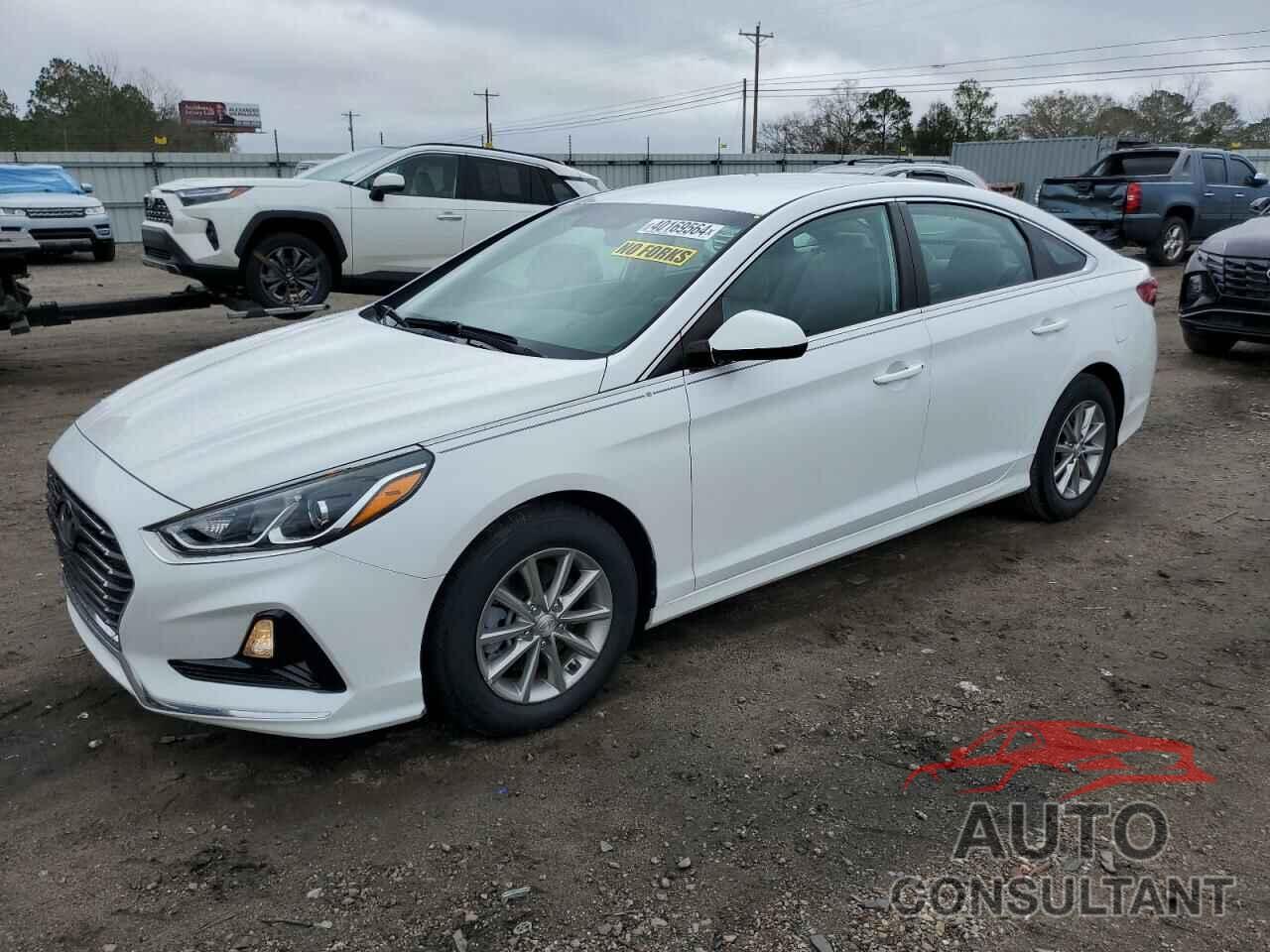 HYUNDAI SONATA 2019 - 5NPE24AF4KH763641