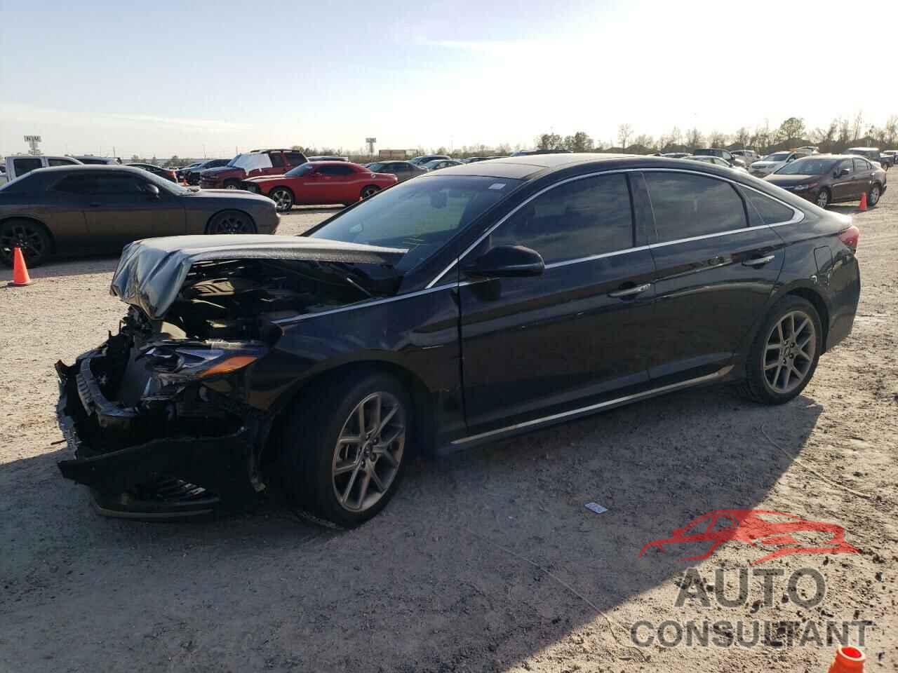 HYUNDAI SONATA 2019 - 5NPE34AB2KH780402