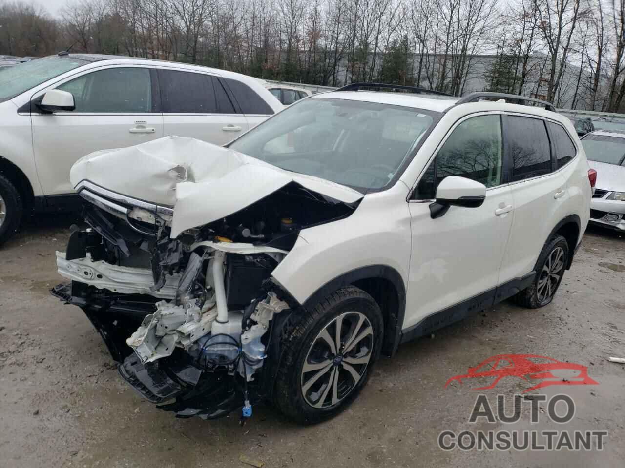 SUBARU FORESTER 2019 - JF2SKAUC7KH530548