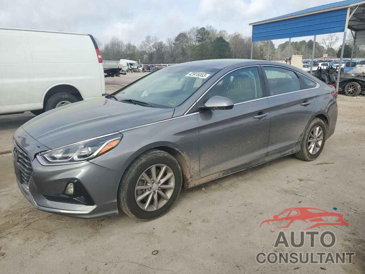 HYUNDAI SONATA 2019 - 5NPE24AF9KH782735