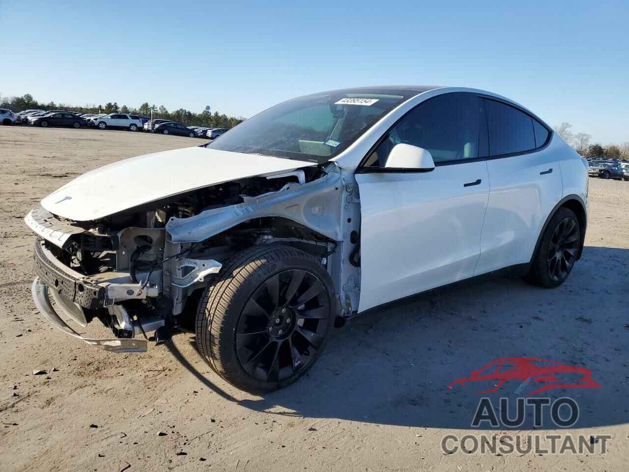 TESLA MODEL Y 2021 - 5YJYGDEE9MF203549