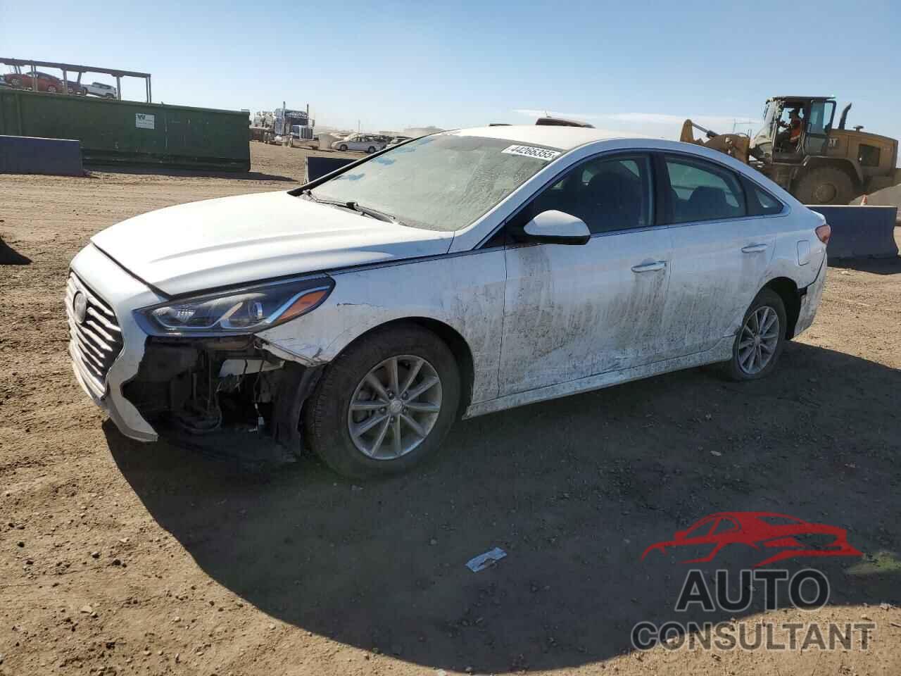 HYUNDAI SONATA 2019 - 5NPE24AF1KH761359