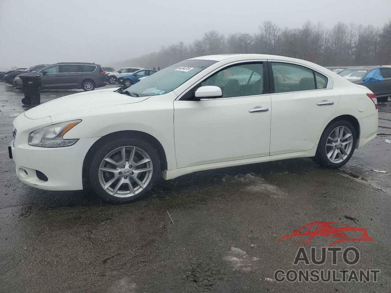 NISSAN MAXIMA 2010 - 1N4AA5APXAC844787