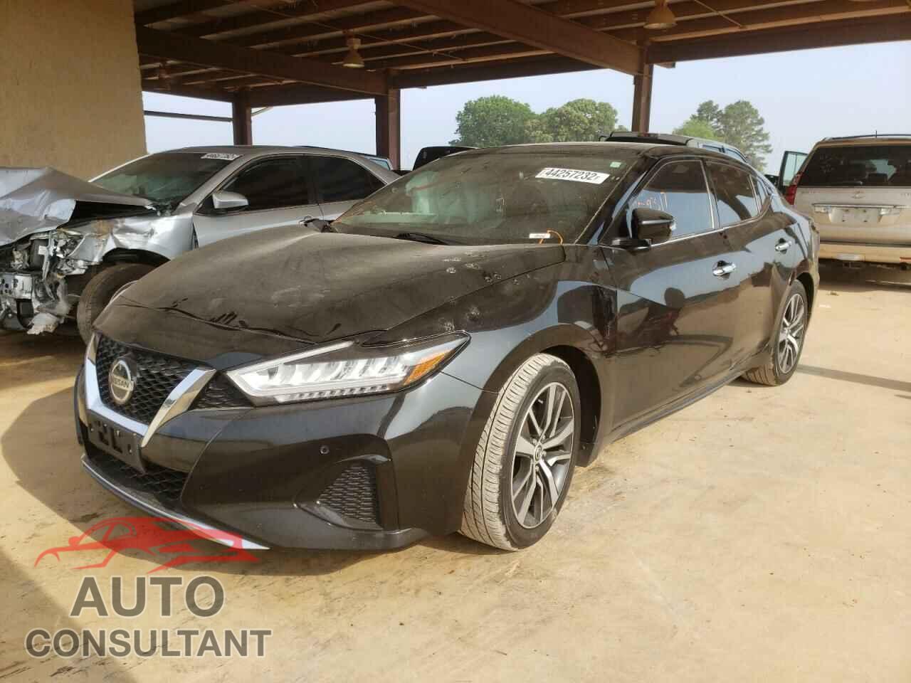 NISSAN MAXIMA 2019 - 1N4AA6AV4KC368834