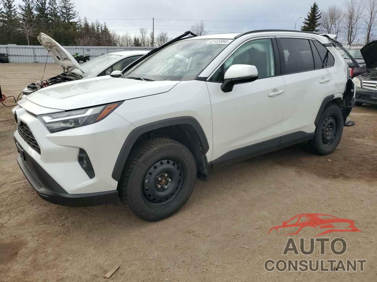 TOYOTA RAV4 2023 - 2T3R1RFV8PW343317