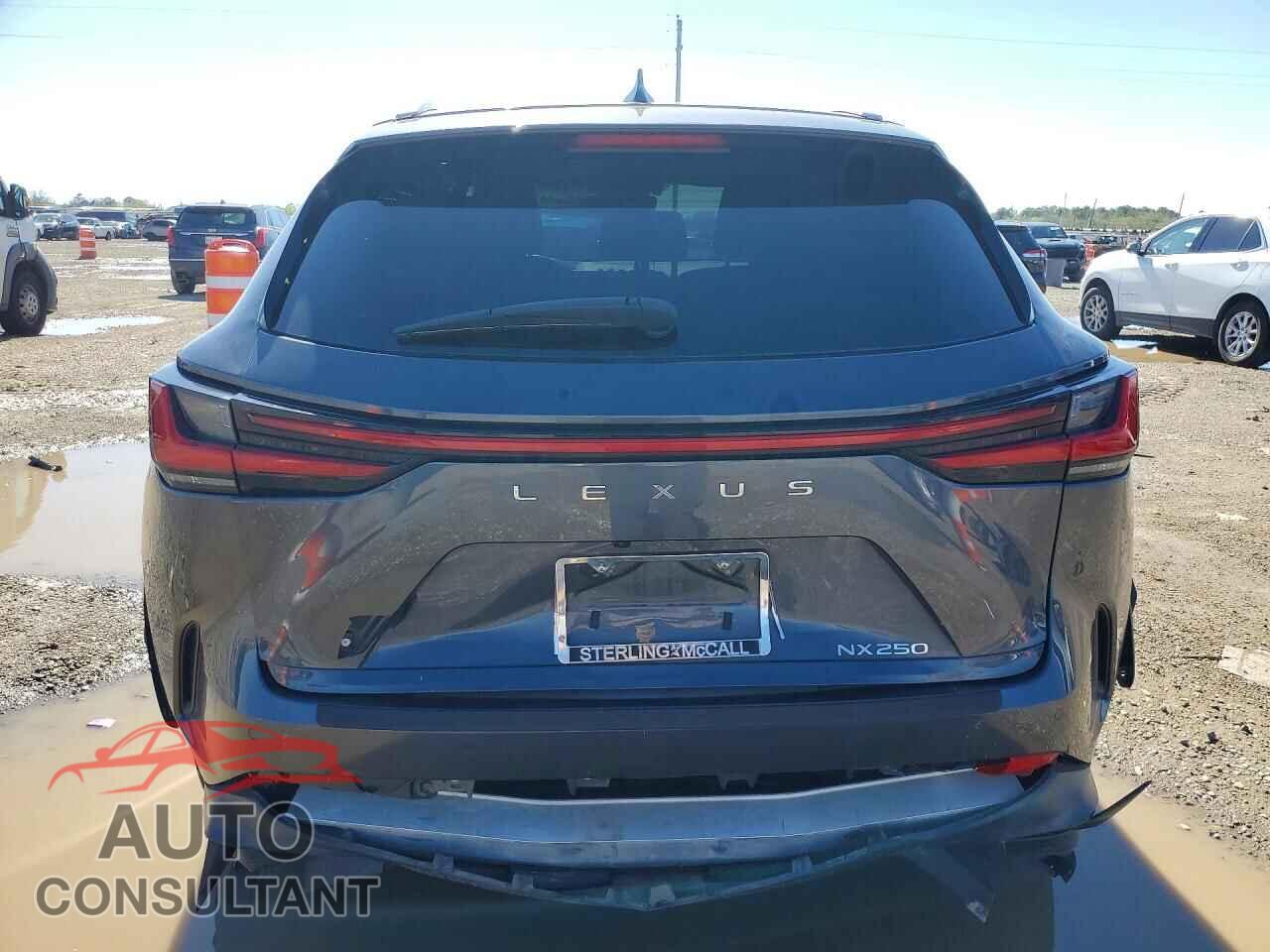 LEXUS UNKNOWN 2023 - 2T2GDCAZ5PC005174