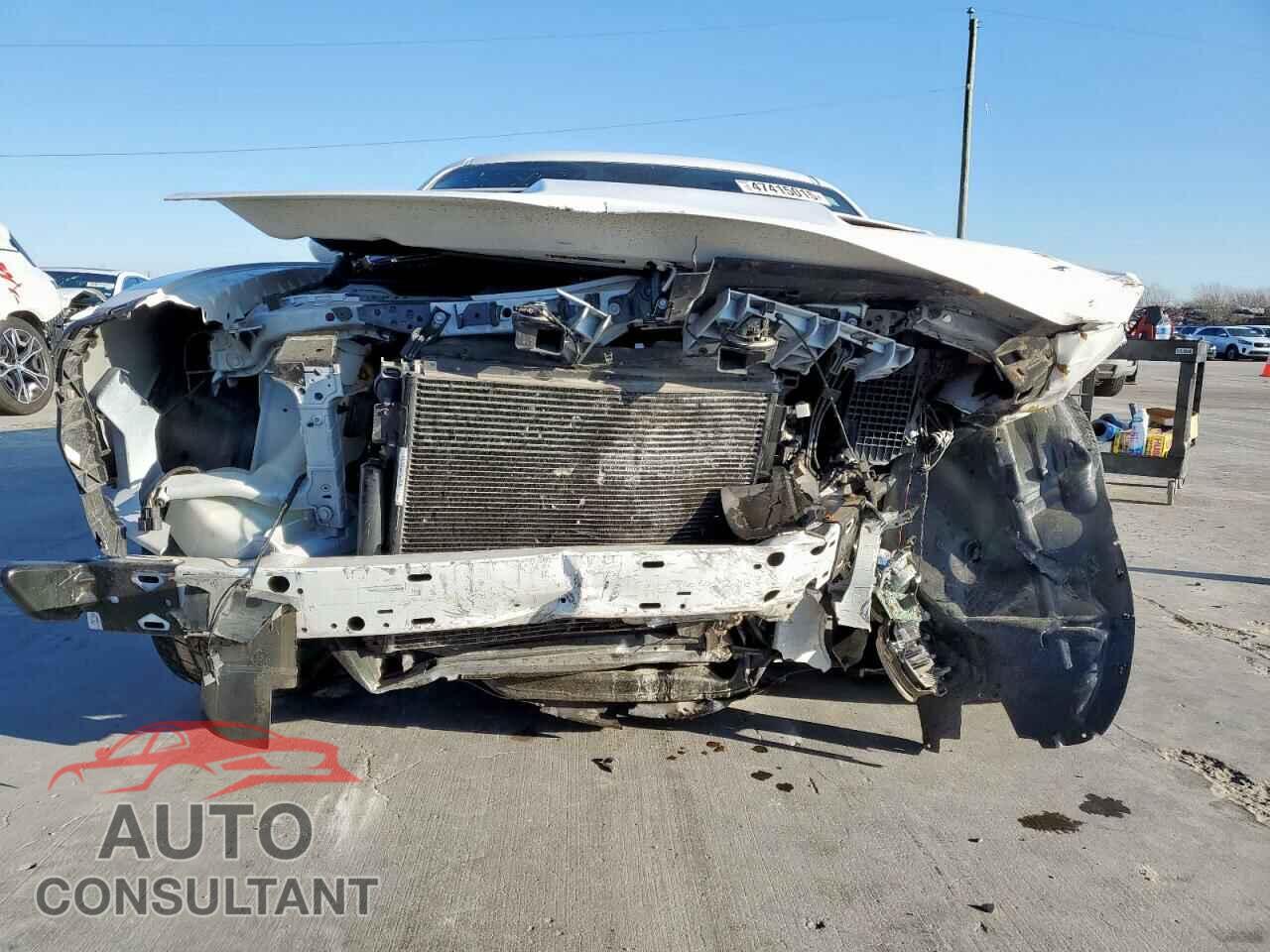 DODGE CHALLENGER 2019 - 2C3CDZAGXKH621069