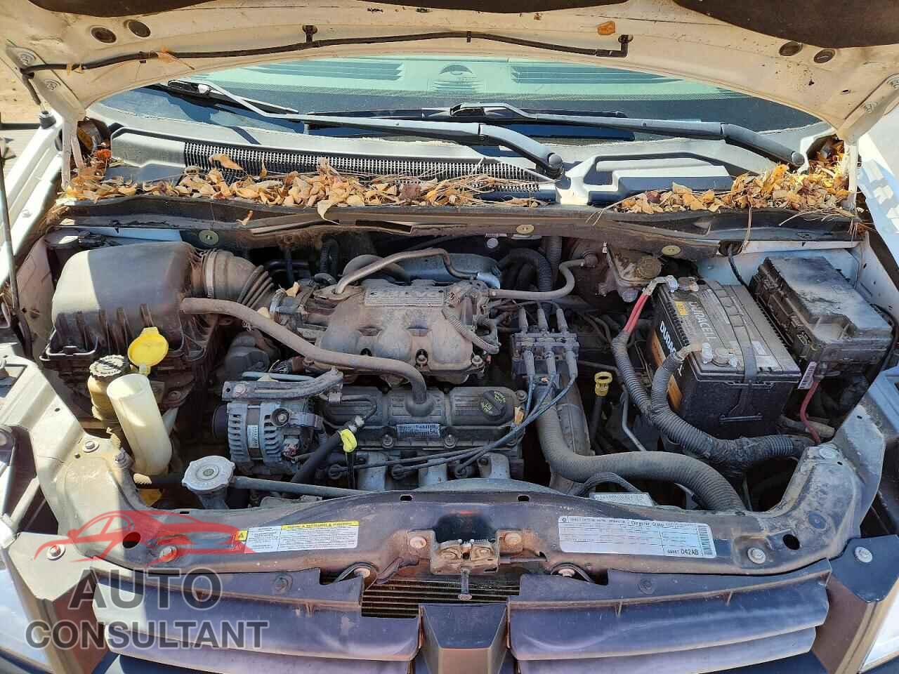 DODGE CARAVAN 2010 - 2D4RN4DE6AR377867