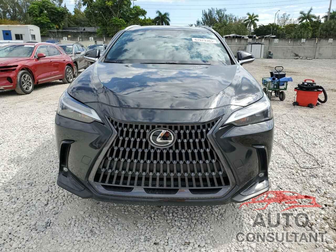 LEXUS NX 250 2022 - 2T2ADCAZ2NC001134