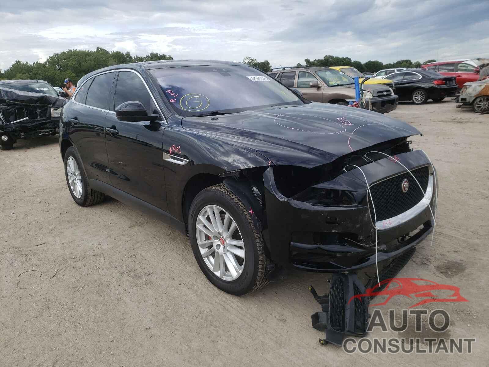 JAGUAR F-PACE 2019 - SADCK2GX2KA391319