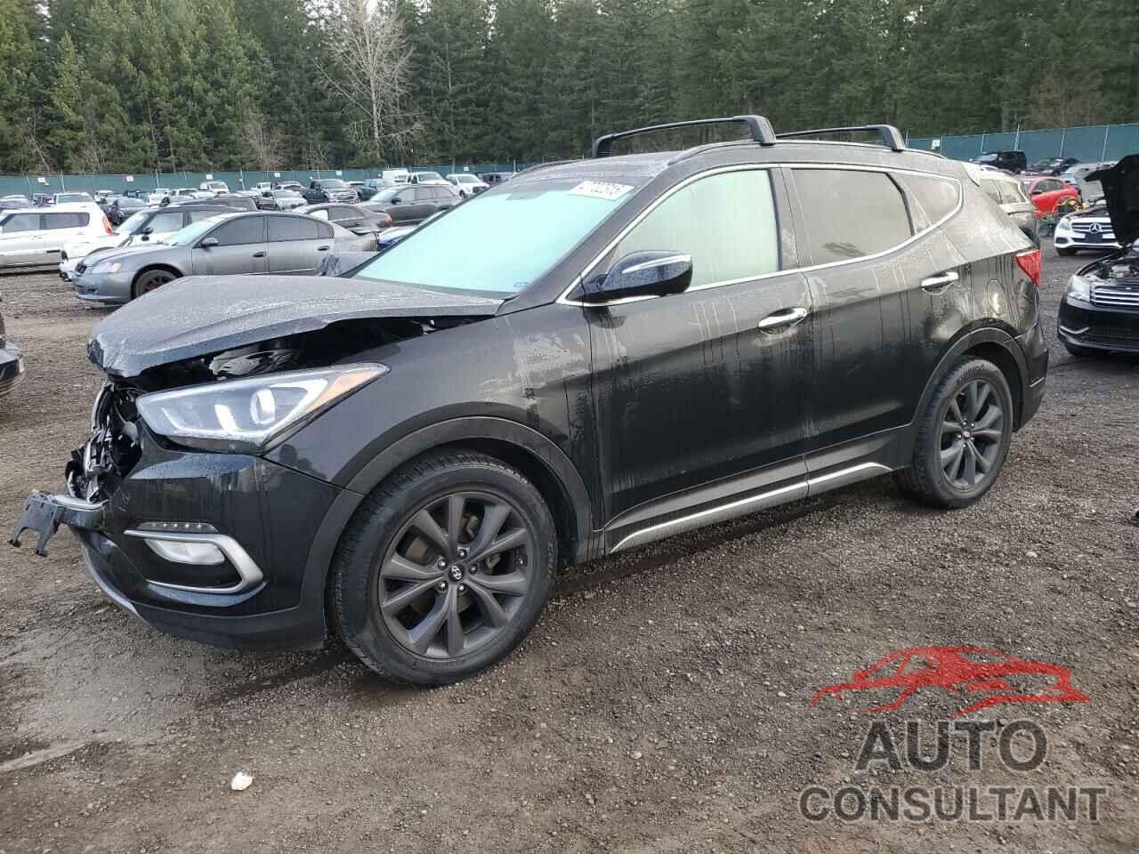 HYUNDAI SANTA FE 2017 - 5NMZWDLA5HH040829