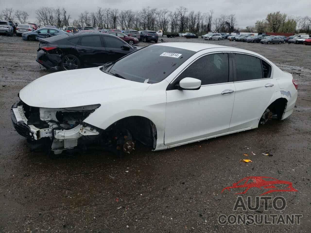 HONDA ACCORD 2016 - 1HGCR2F6XGA192446