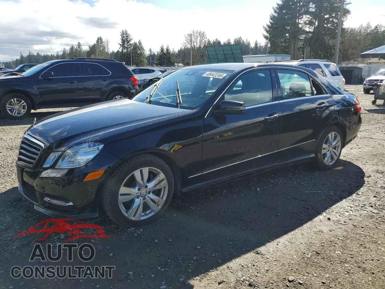MERCEDES-BENZ E-CLASS 2013 - WDDHF2EB5DA703493