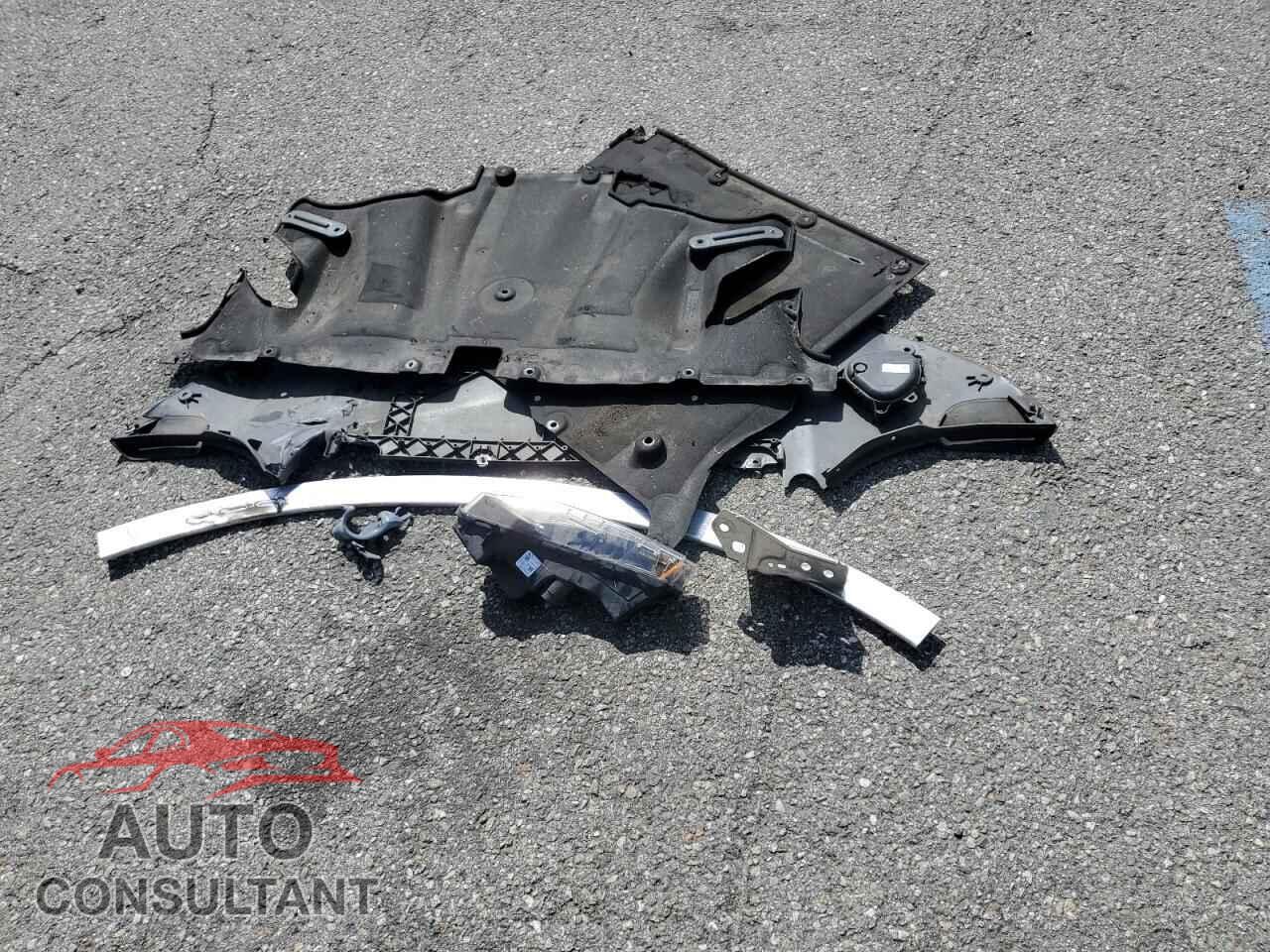 TESLA MODEL 3 2019 - 5YJ3E1EB3KF494244
