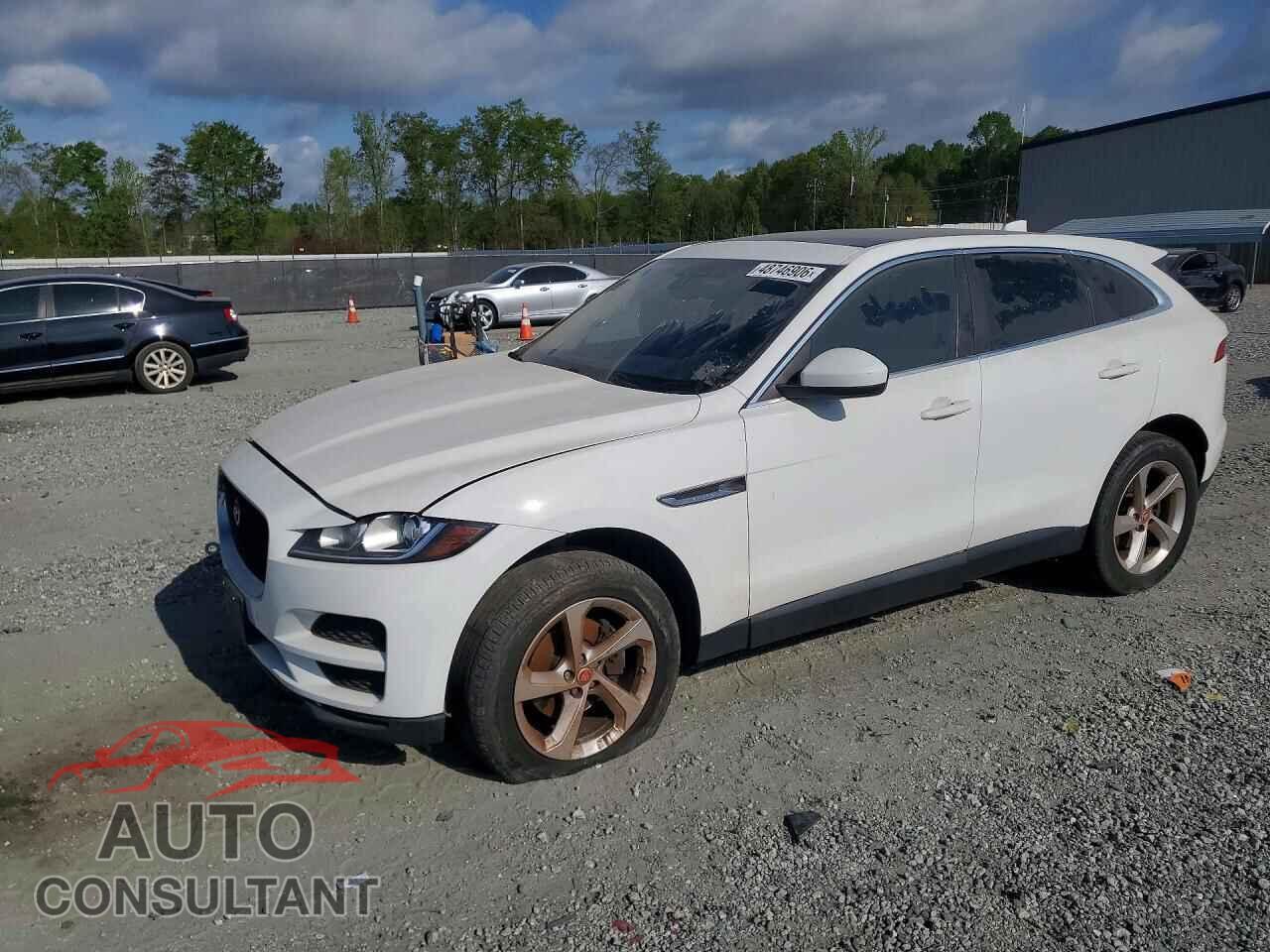 JAGUAR F-PACE 2019 - SADCS2FX2KA602830