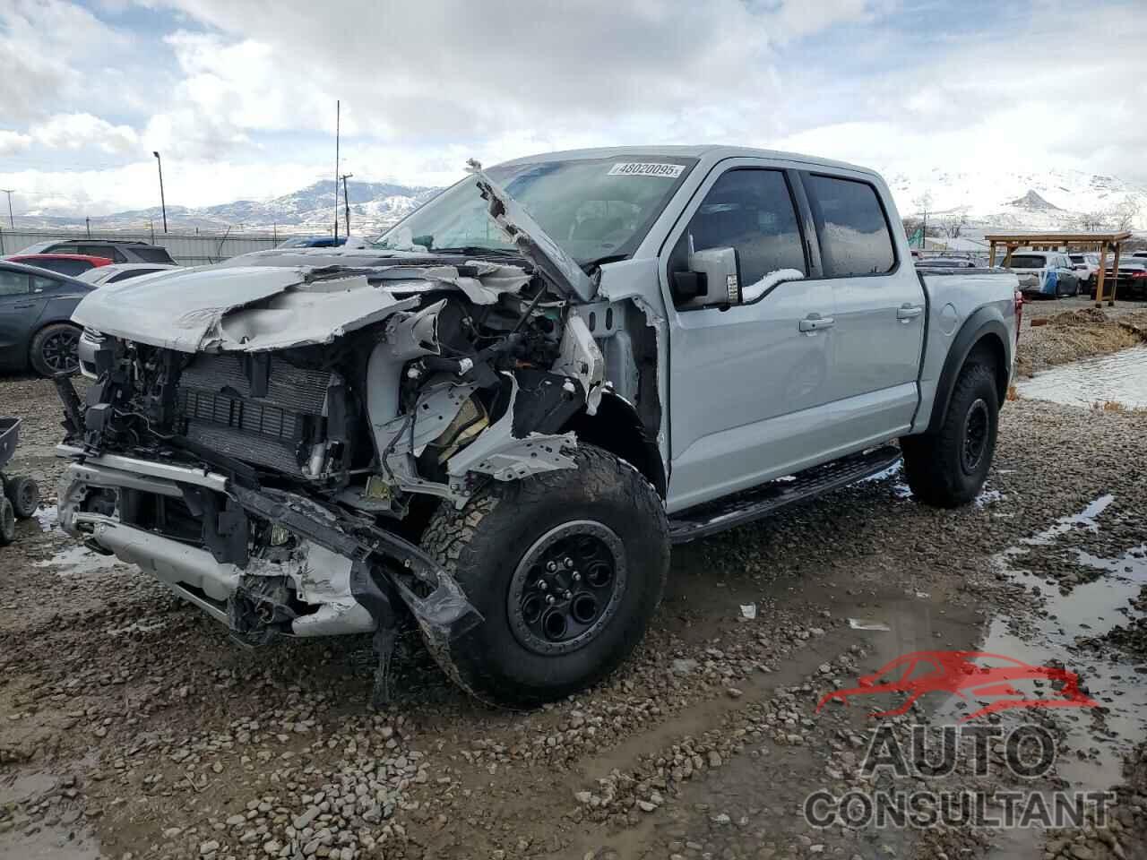 FORD F150 2024 - 1FTFW1RGXRFB06240