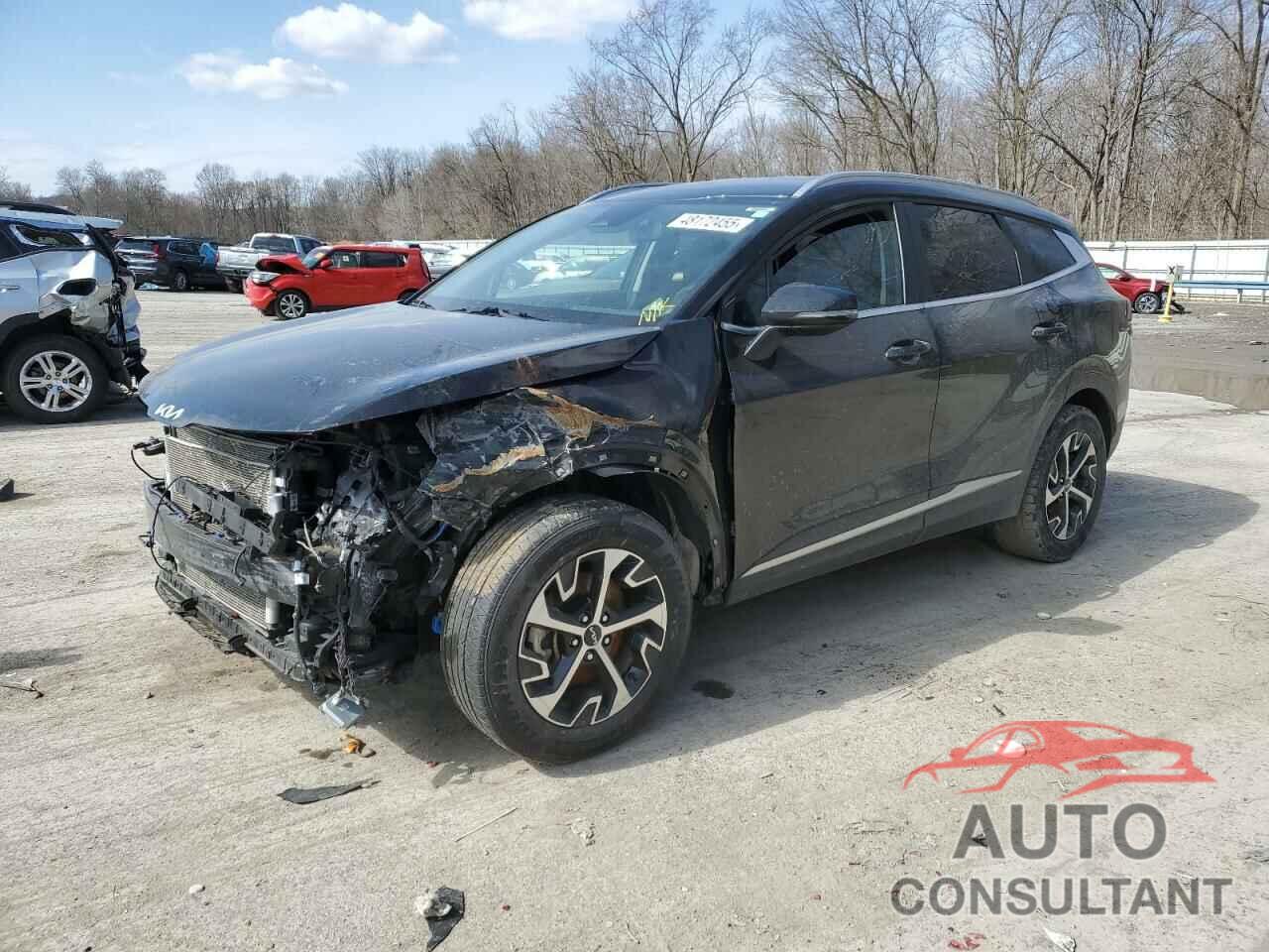KIA SPORTAGE 2023 - 5XYK3CAF6PG010220