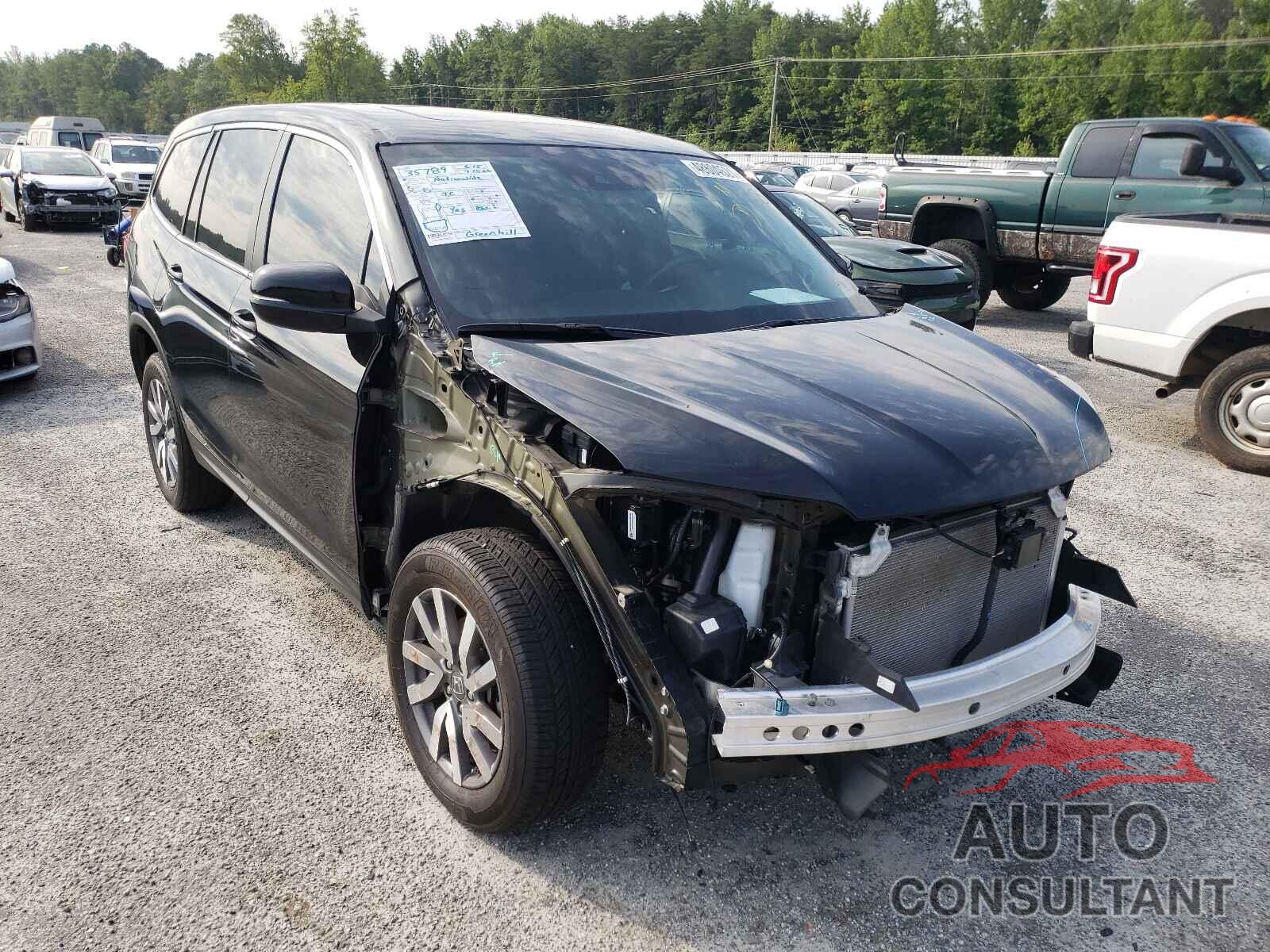 HONDA PILOT 2019 - 5FNYF6H53KB093704