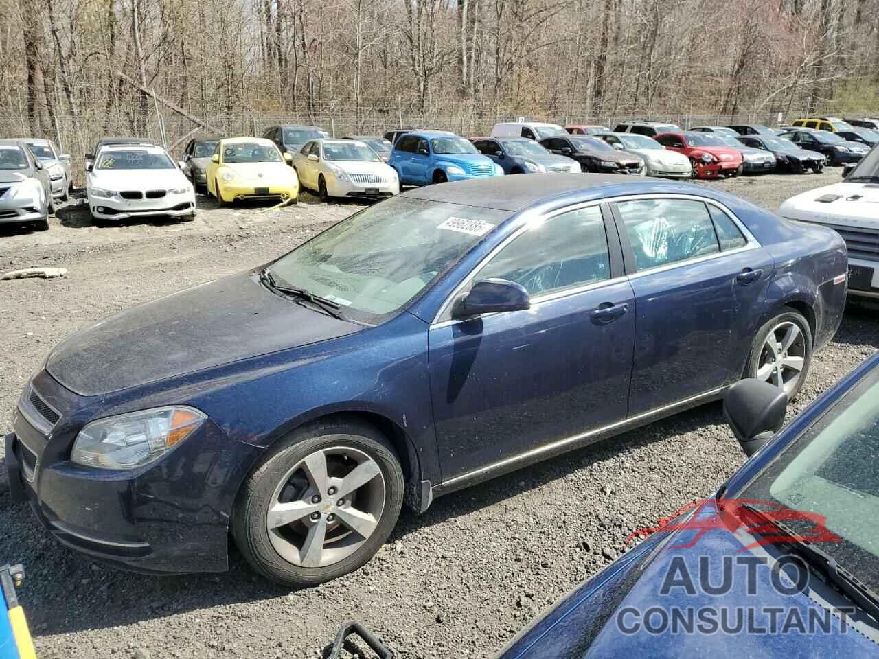 CHEVROLET MALIBU 2011 - 1G1ZC5E17BF200606