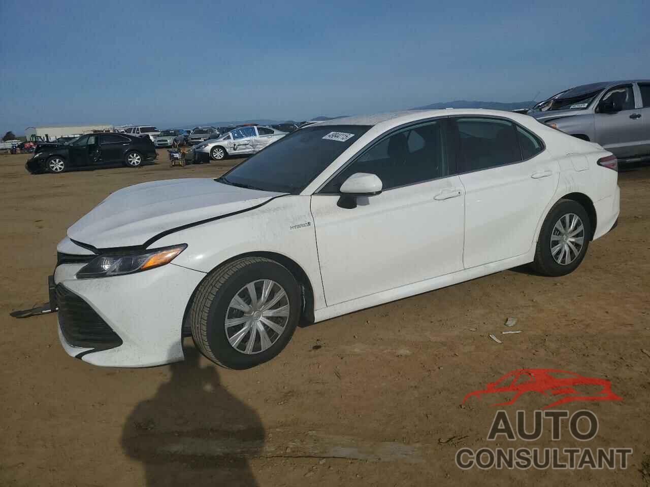 TOYOTA CAMRY 2020 - 4T1C31AK2LU528030