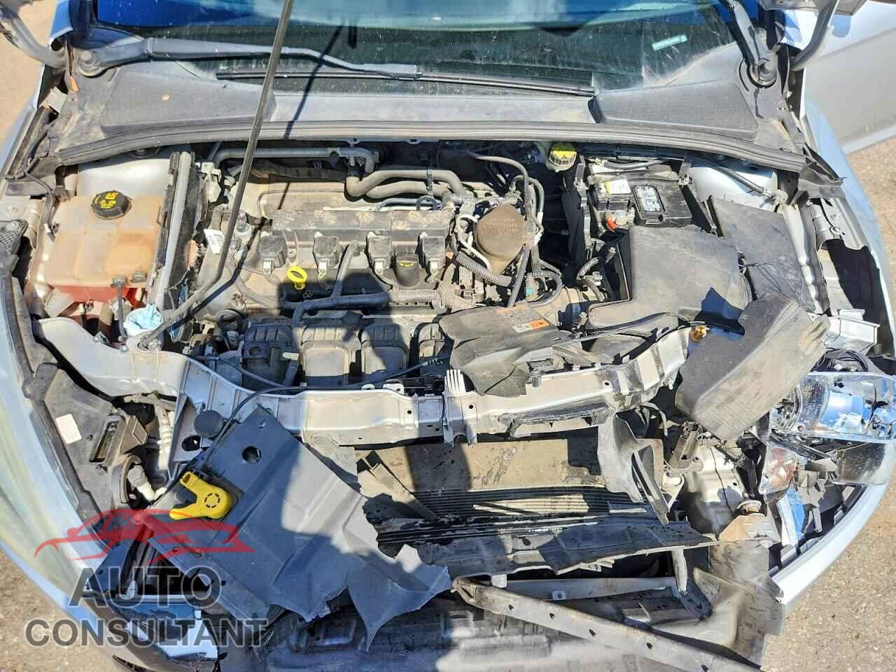 FORD FOCUS 2016 - 1FADP3F28GL304490