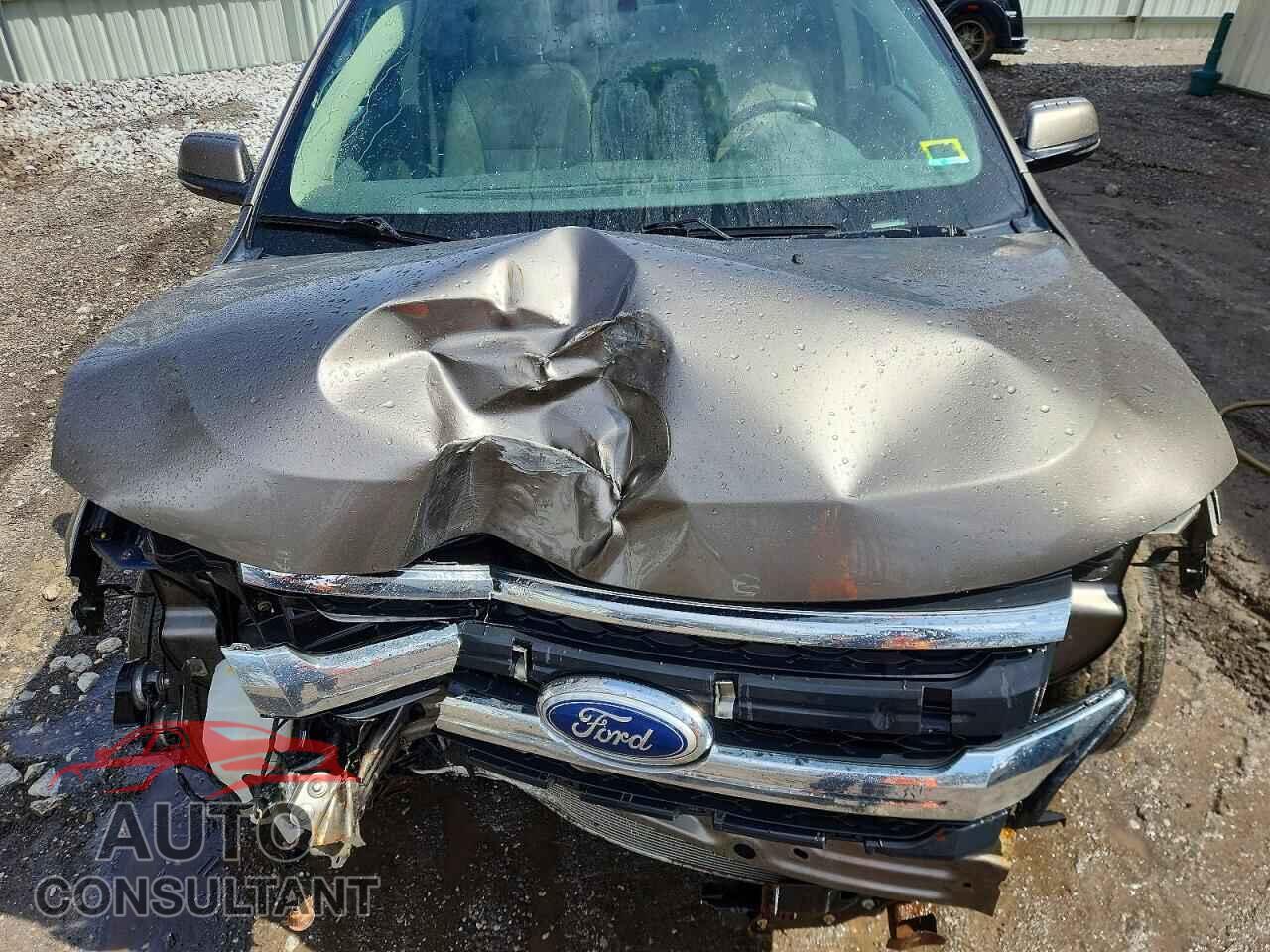 FORD EDGE 2014 - 2FMDK4KC1EBB71397