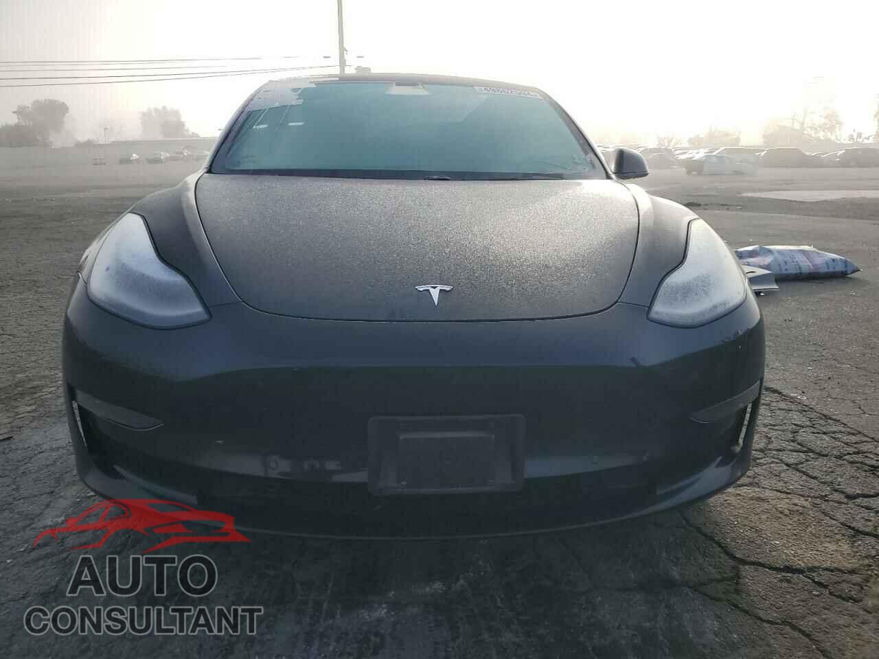 TESLA MODEL 3 2019 - 5YJ3E1EA1KF417086