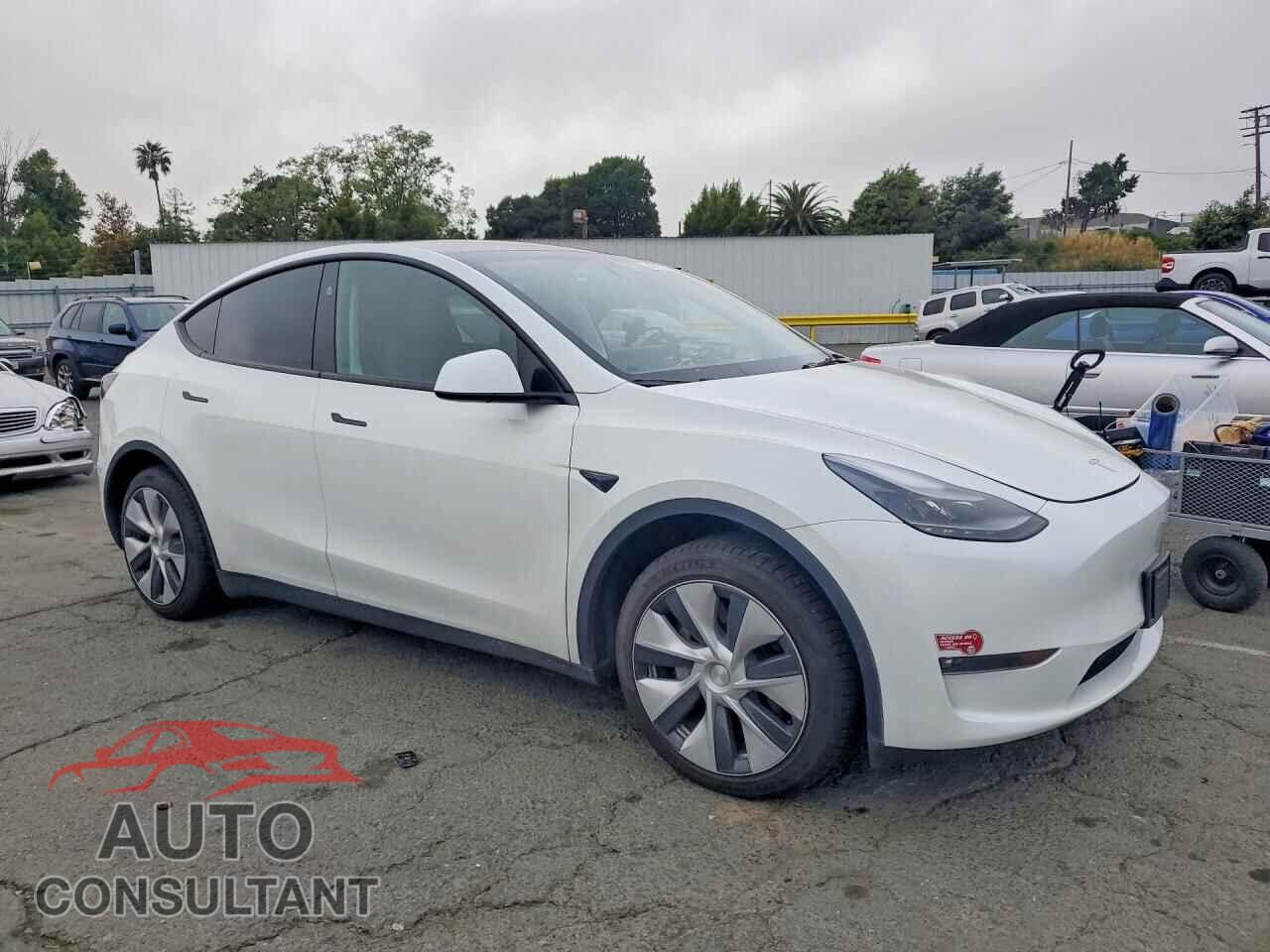 TESLA MODEL Y 2024 - 7SAYGAEE2RF054149