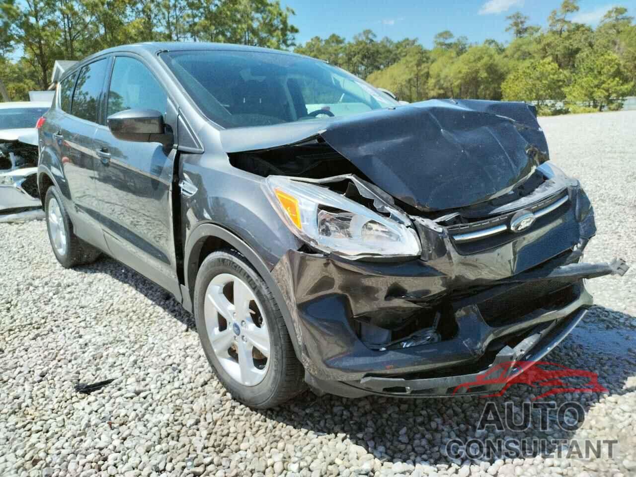 FORD ESCAPE 2016 - 1FMCU0G73GUB96759