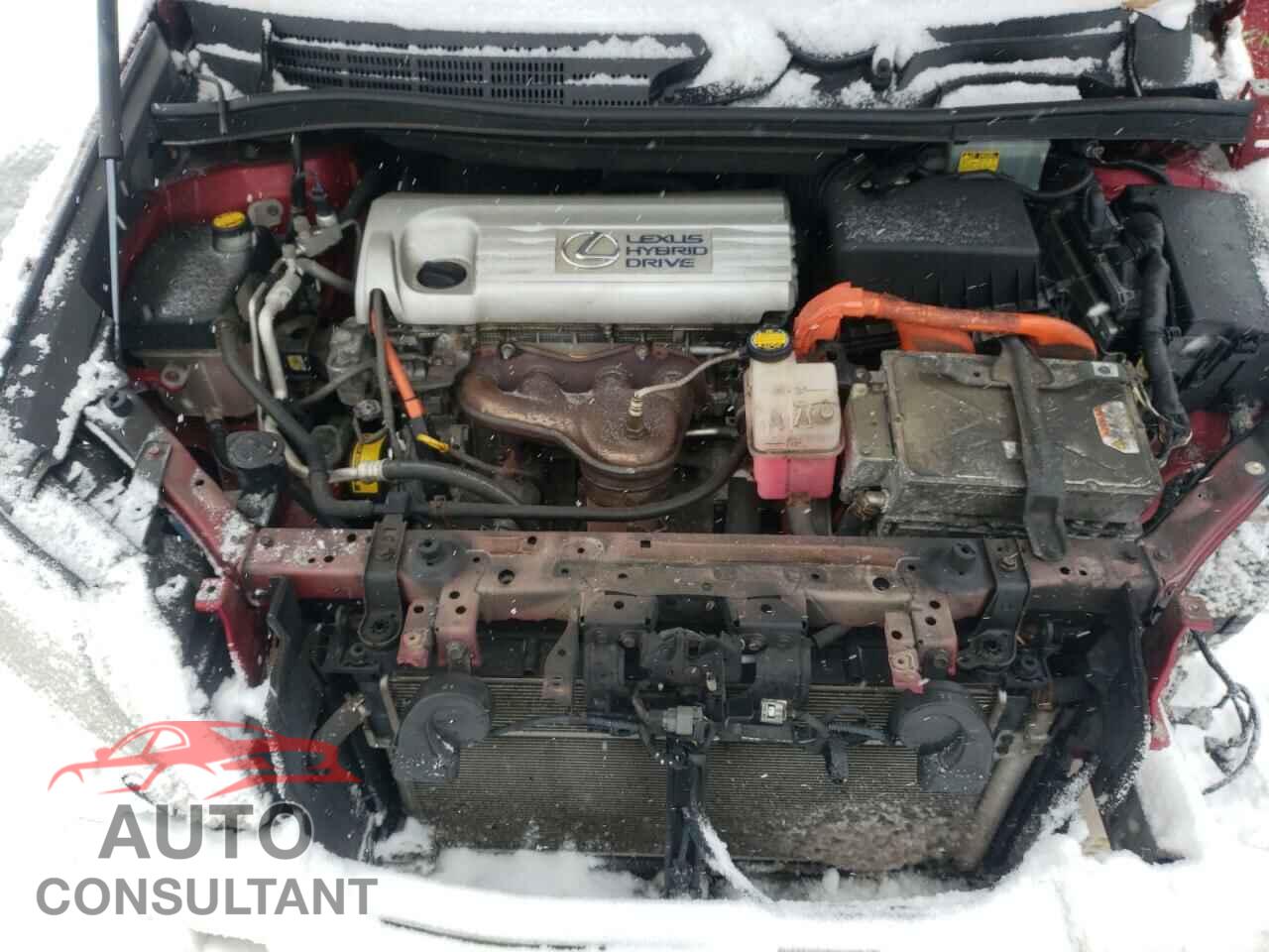 LEXUS HS 2010 - JTHBB1BA0A2034488